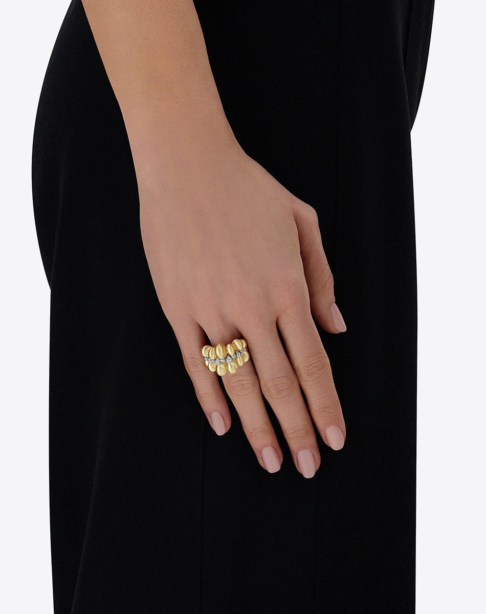 Ring TRASFORMISTA