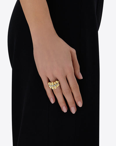 Ring TRASFORMISTA